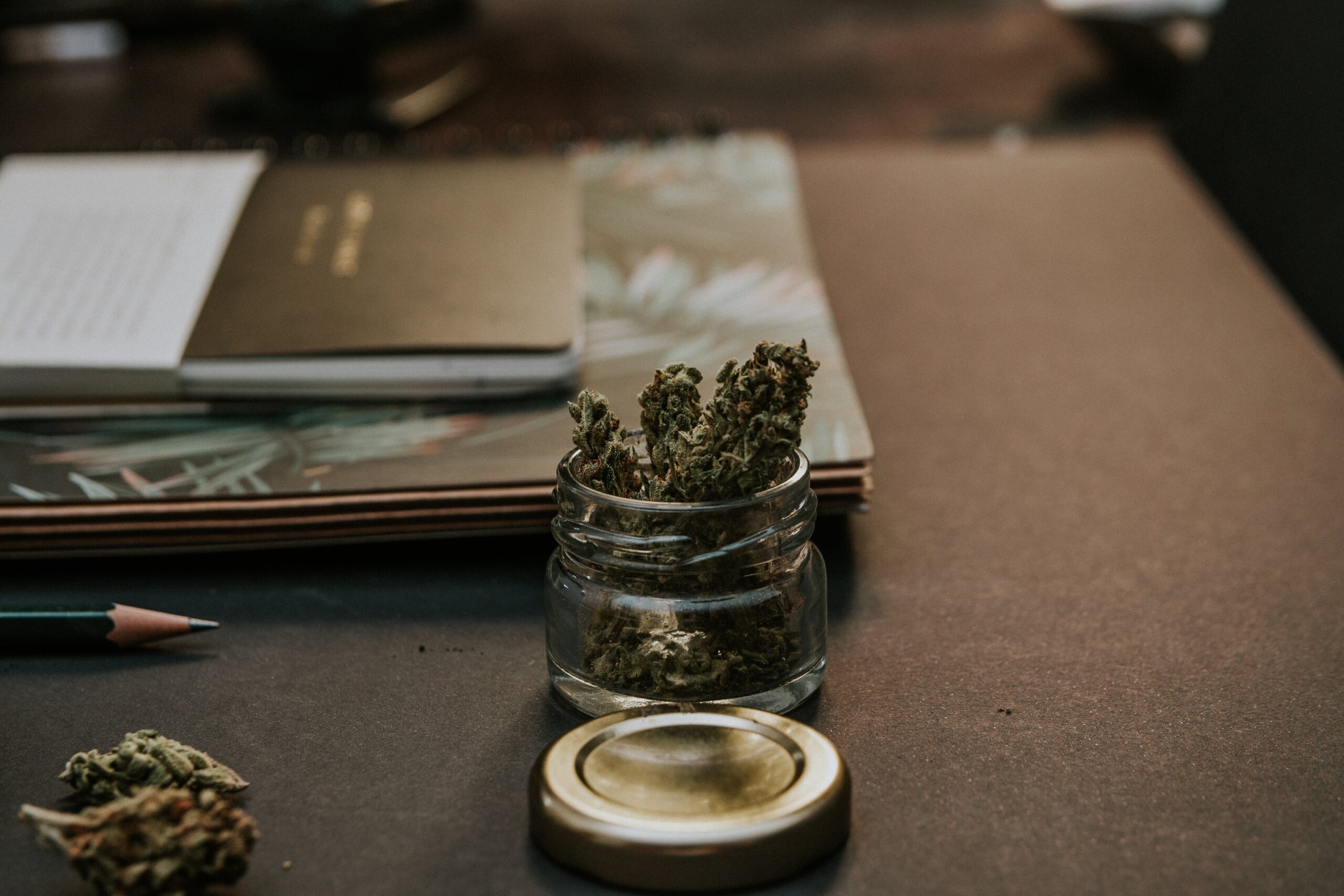 MSO and Co is making cannabis business setup easy with smooth documentation & licensing.